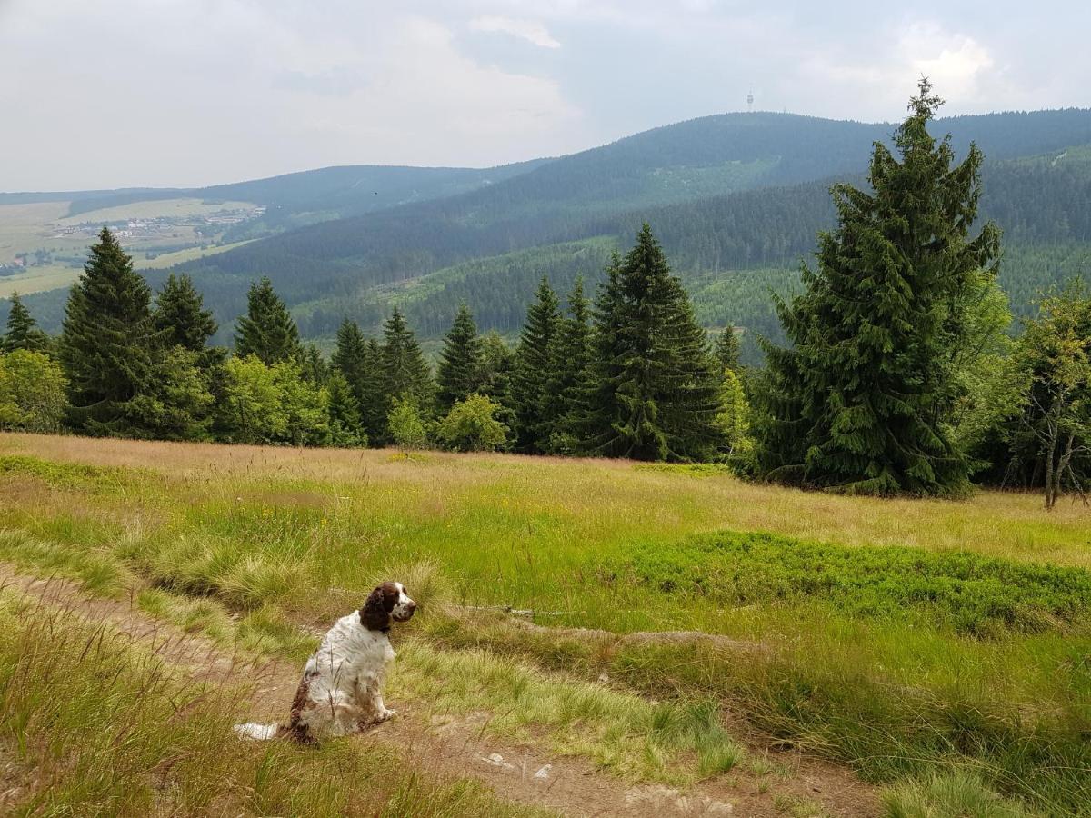 Ferienwohnung Grenzblick Oberwiesenthal Buitenkant foto